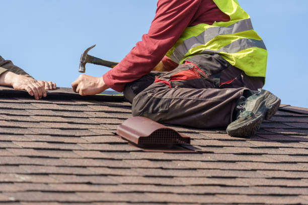 Best Shingle Roofing Installation  in Paw Paw, MI
