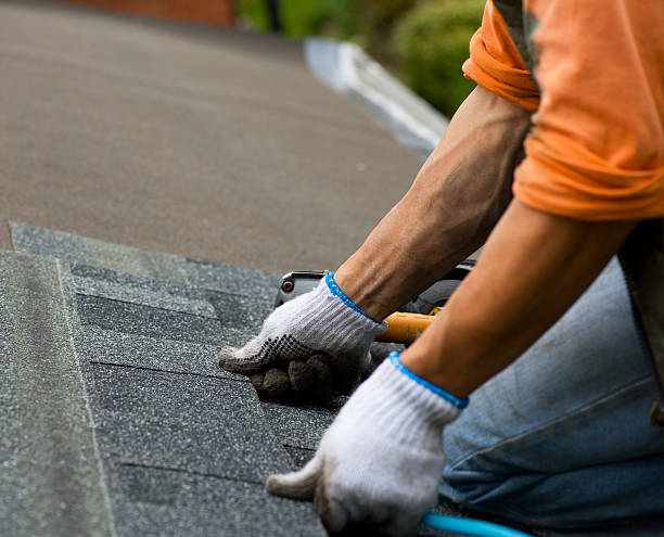 Best Roof Maintenance Services  in Paw Paw, MI