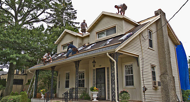 Best Roof Repair Estimates  in Paw Paw, MI