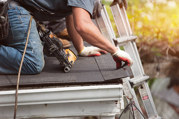 Best Roofing Contractor Near Me  in Paw Paw, MI