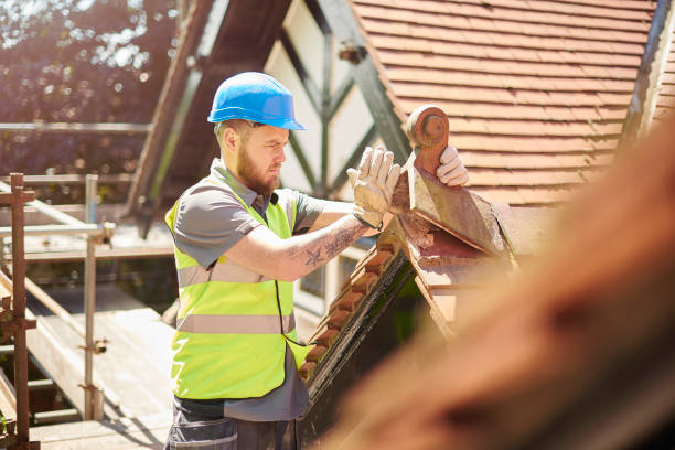 Best Roof Inspection Near Me  in Paw Paw, MI