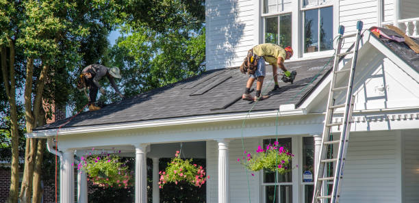 Best Local Roofing Companies  in Paw Paw, MI