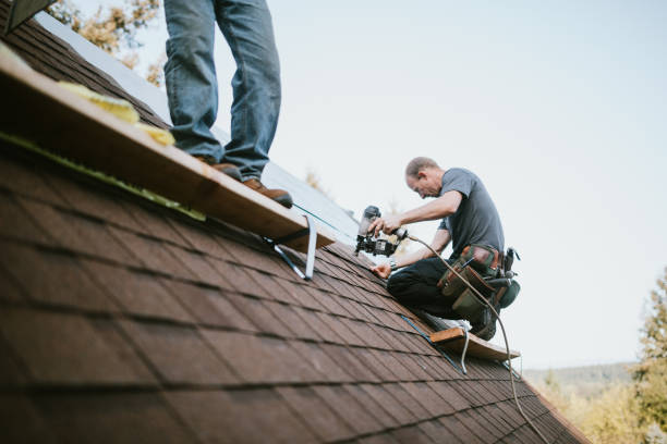 Best Roof Leak Repair  in Paw Paw, MI